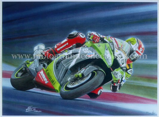 Tom Sykes #66 Kawasaki ZX-10R 2013 - Artwork by D. De Vries