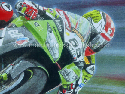 Tom Sykes #66 Kawasaki ZX-10R 2013 - Artwork by D. De Vries