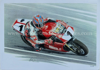 Carl Fogarty #1 Ducati 996 - Artwork by Diederick De Vries